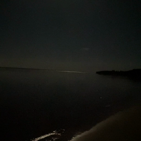 中秋の名月の画像