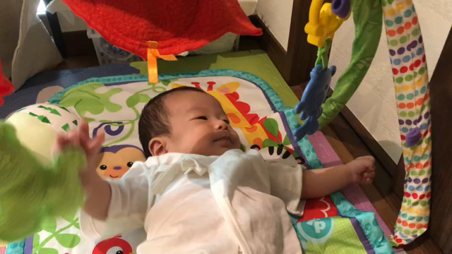 忙しい！の記事動画
