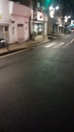 なにこれ！？の記事動画