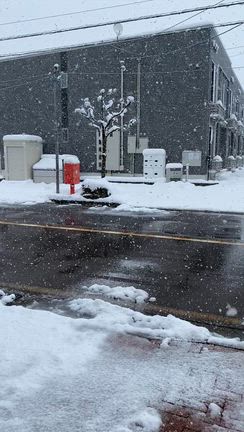 早朝から雪かきの記事動画