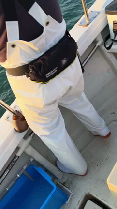 のませ釣りヒラメ狙い・正和丸の記事動画