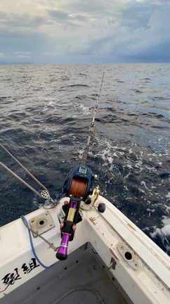 正丸…マグロ捕獲隊でのアコウダイ釣りの記事動画
