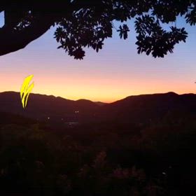 12月1日ラウンド動画…アプ練後ろから…の画像
