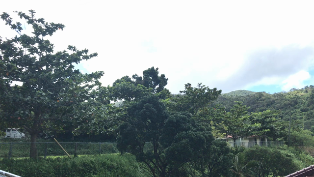 沖縄でビタミンチャージの記事動画