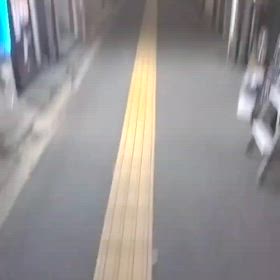 2024/11/07の画像