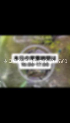 サムライブルー売り尽くしSALE中！の記事動画