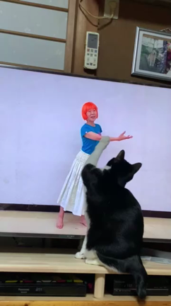 ネコちゃーんも一緒にフラ！の記事動画