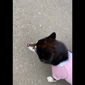 保護服の画像