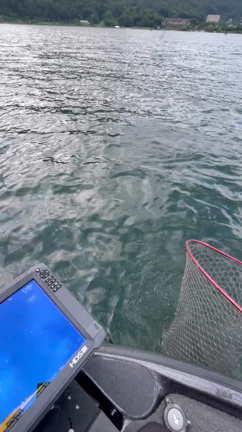 今日の河口湖　もの記事動画
