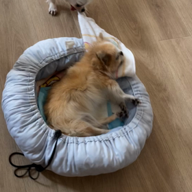 あなたの物はべっちの物・べっちの物はべっちの物の画像