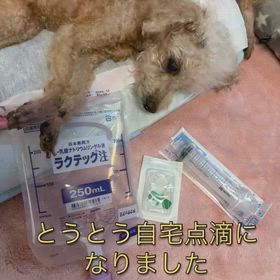 とい④⑤の画像