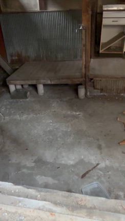 小さな子猫ばかり。。。ぱーちゃん。。。の記事動画