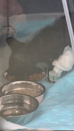 病院で終わった1日でしたの記事動画
