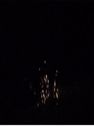 今年最初の花火の記事動画