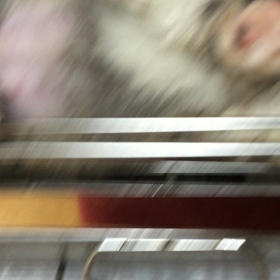 ペキニーズの画  像