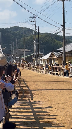菊間　お供馬走り込み！の記事動画