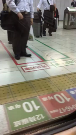 新幹線行き過ぎ〜〜の記事動画