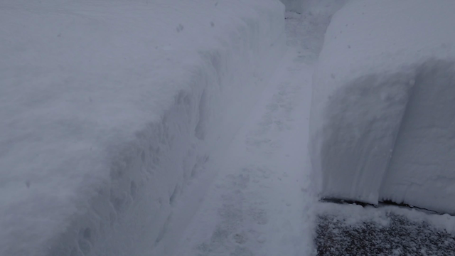 大雪警報！の記事動画