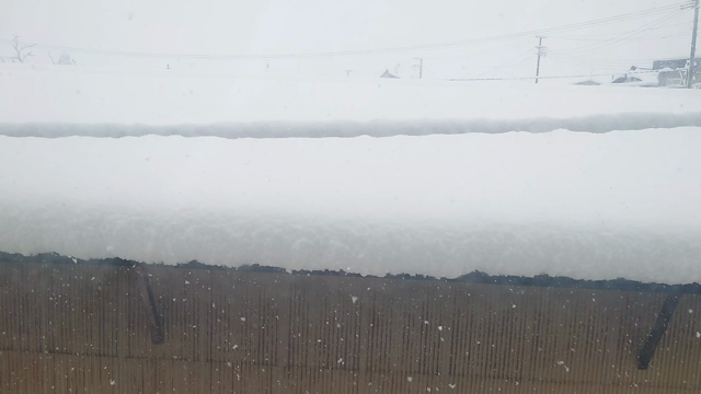 初雪からの積雪30cm超えの記事動画