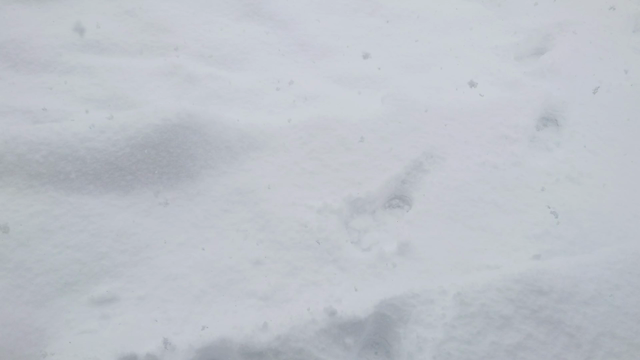 初雪からの積雪30cm超えの記事動画