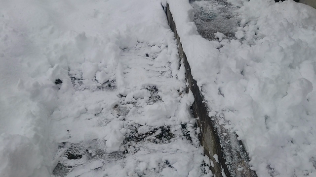 初雪からの積雪30cm超えの記事動画