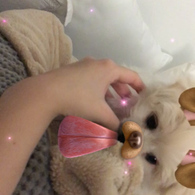 かわいすぎて食べたいの画像