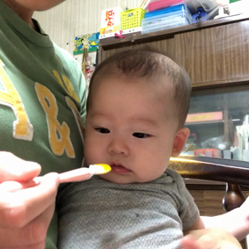 かぼちゃ三日目の画像