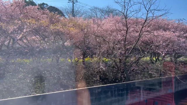 初めての三浦半島の記事動画