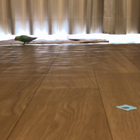 歩こう〜♪歩こう〜♪の画像