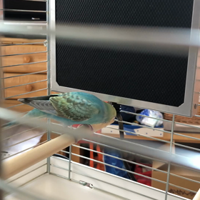 しゃべった⁉️の画像