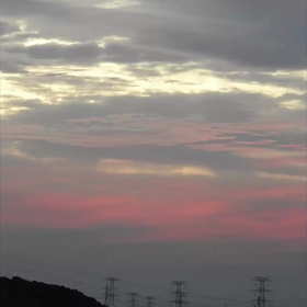 2022-09-29の早朝散策よりの画像