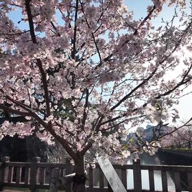 3回目の画像