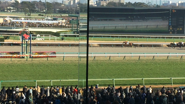 初の中山競馬場の記事動画
