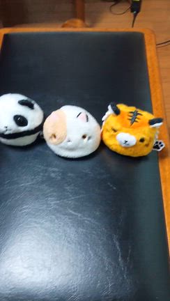 ぬいぐるみをピアノレッスンで使います！よく使っているグッズ②〜発達障害の子にもそうでない子にも〜の記事動画