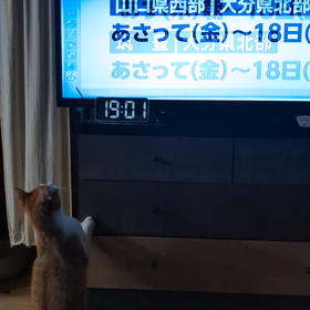 天気が心配だぁ…の画像