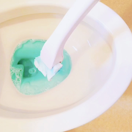 流せるトイレブラシに替えた２つの理由！の記事動画