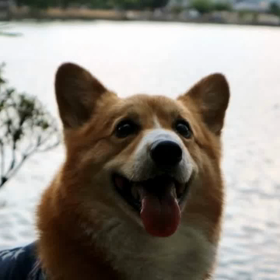 ムービー風にはまってしまったかぁしゃんの画像