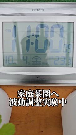 家庭菜園への波動調整の記事動画