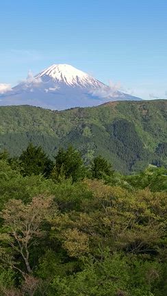 箱根の記事動画