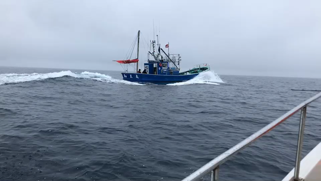 積丹半島釣り船和王丸の記事動画