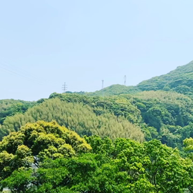 家の窓からいつもの景色^ ^鳥の囀りが心地よかったの画像