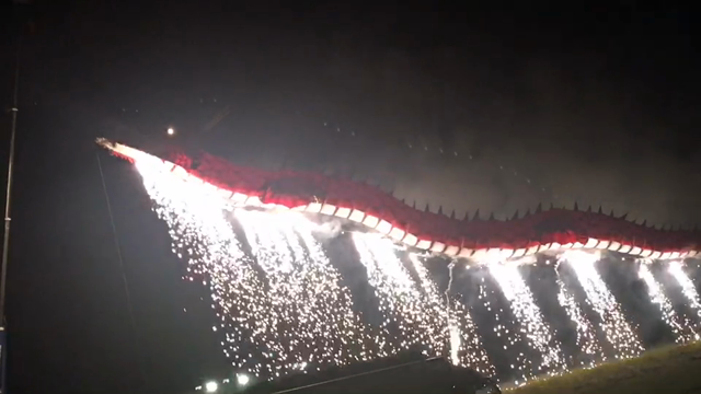 夜空に舞う花の記事動画