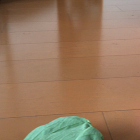 エトの全力疾走3m走の画像