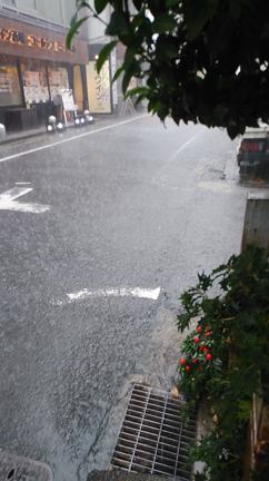 ゲリラ豪雨の記事動画