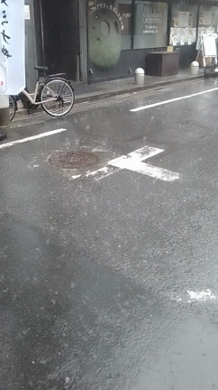 ゲリラ豪雨の記事動画