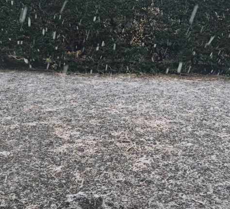 3月の雪の記事動画