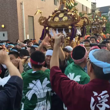 綱島 御神輿の記事動画