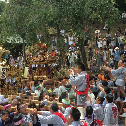 綱島 御神輿の記事動画