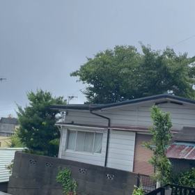 上陸の画像