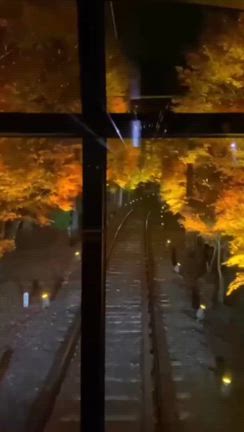 週末楽コーデと紅葉のトンネルの記事動画